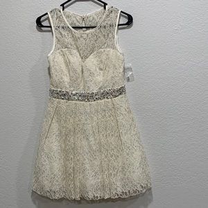 Windsor Off White Dress